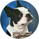 Alfred Andres profile picture